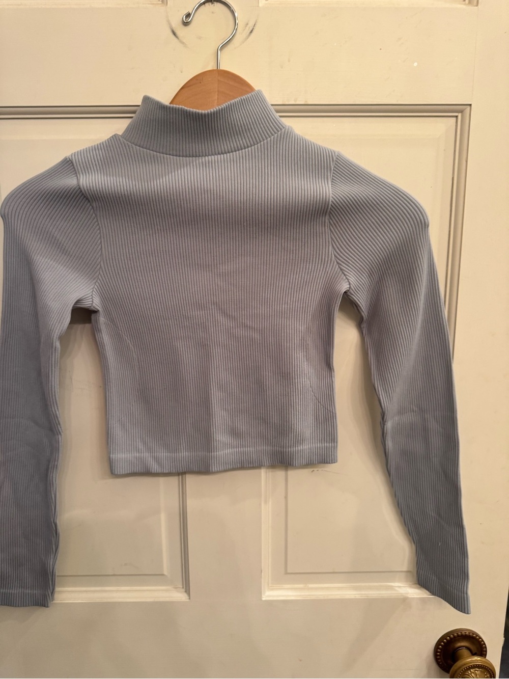 NWOT Ribbed Light Blue Mock Neck Crop Top